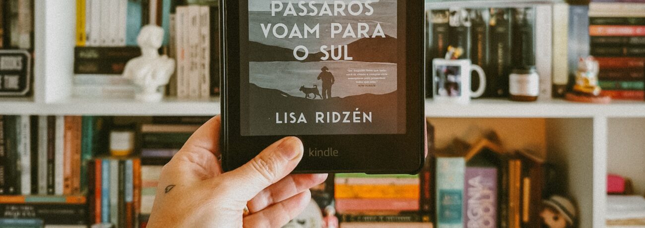 Livro: Quando os pássaros voam para o Sul